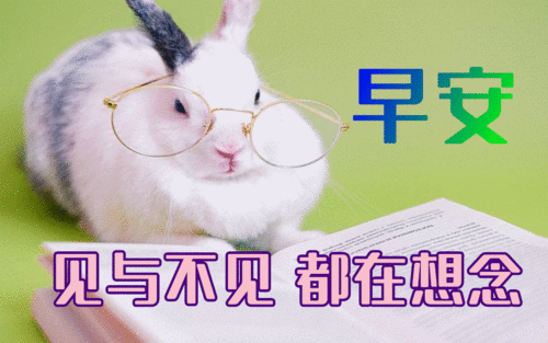 5月17日最漂亮早上好动态表情图片大全,早晨好动图美图大全
