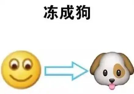 寒冬时节,有哪些时刻让你读懂了温暖
