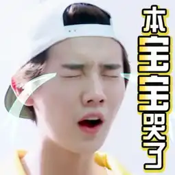 鹿晗傻狍子表情包
