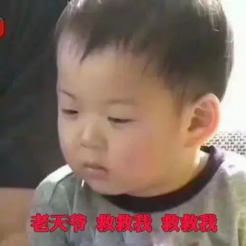 每次陪孩子写作业,整个小区都能听见我的咆哮声蓝云之鹰
