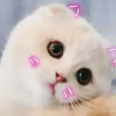 沙航浮生记男生节,为我航的小哥哥们疯狂打call
