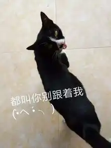 奶牛猫发神经各种尬帅,朕的表情包请收好
