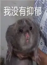 抑郁
