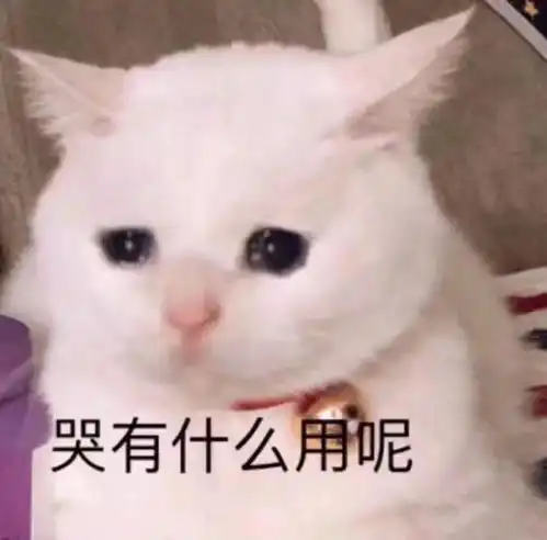 弹钢琴手很僵硬怎么办啊啊啊
