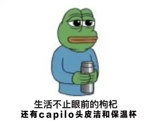 头皮干燥该用什么产品好不是头屑多
