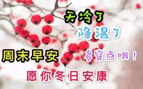 早安吉祥努力这个词太平凡,但努力将使你的人生不平庸,早安
