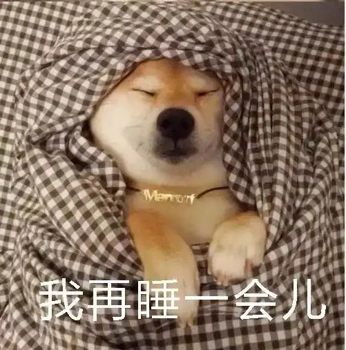 真的勇士,敢于摆脱被窝的诱惑起床
