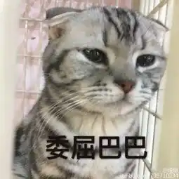 china蓝泡泡火柴99照片china蓝泡泡火柴99相册大全yy官方
