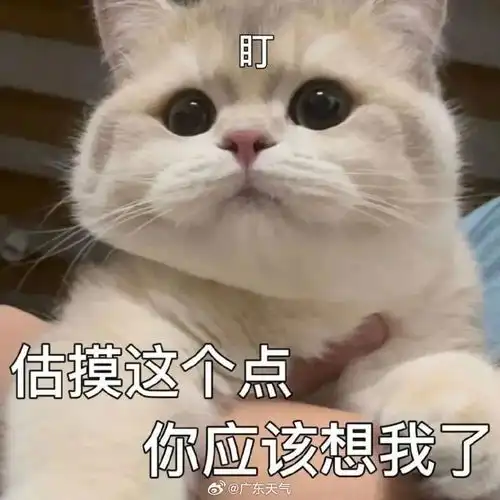 广东天气会商开始了
