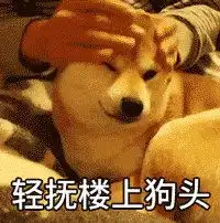 急主人说去雄安炒房了,留我一只狗在家饿肚子