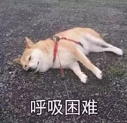 三种运动健身的呼吸方法
