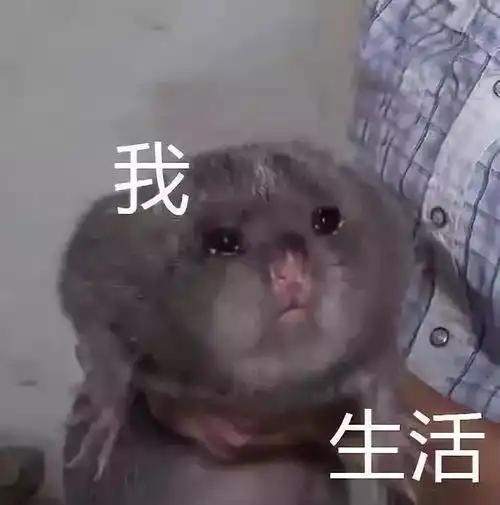 2018短视频红人图鉴一夜成名的刺激战场
