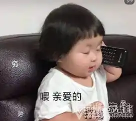 懂了优秀qq表情包懂了优秀表情素材v1.0绿色版
