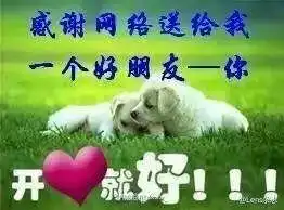 如何评价网上流传的中老年表情包
