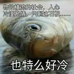 扶我起来,我还能学习
