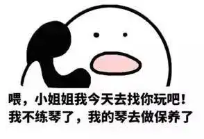 青岛琴行音乐表情包爆笑来袭对方不想练琴,并向你扔了个表情包
