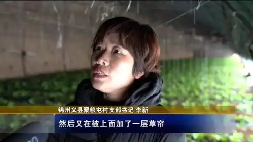 今天咱东北老铁承包热搜,看看南方孩子享受不到的上班路