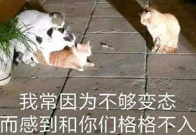 火遍大江南北,这剧绝对华语最骚
