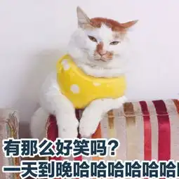 猫咪表情包猫咪微信表情包猫咪qq表情包发表情fabiaoqing.com
