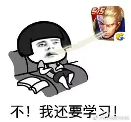王者荣耀中毒表情包
