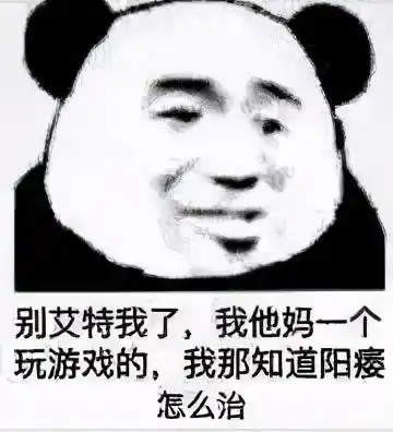 爆笑沙雕表情包别人都是用香奈儿包,而我用的是表情包
