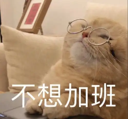 一道让上千万高中生纠结的多选题
