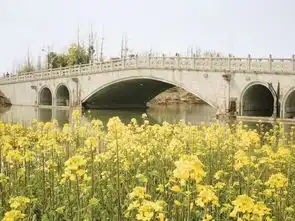 春日去哪溜达搭帐篷放风筝赏花海,湘湖才是溜娃好去处