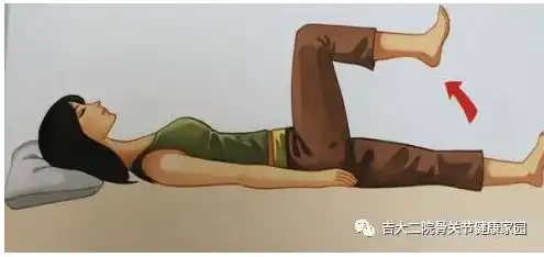 髋关节置换术后如何功能锻炼呢
