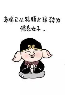 佛系青年的日常
