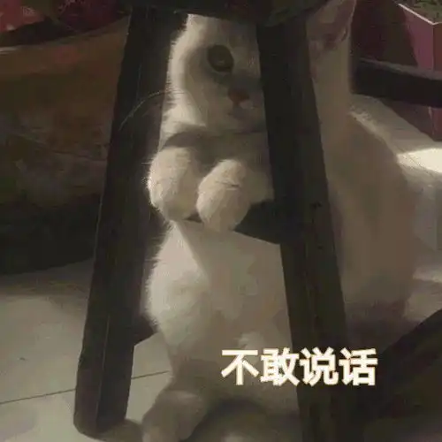 狗头人表情包动图裂开