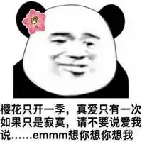 套路表白表情包微信头像图片大全
