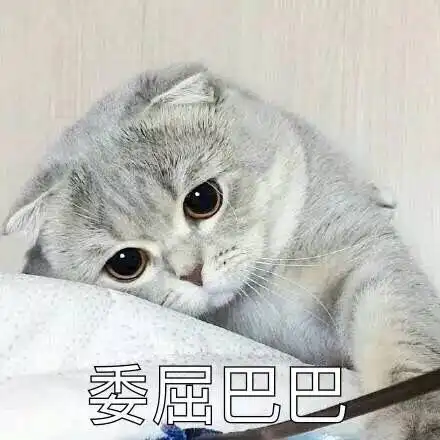 猫星人委屈巴巴的表情包
