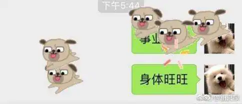 微信发什么会有狗微信表情雨有狗狗的口令大全