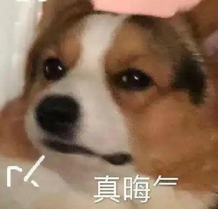 景甜杨紫争当女一可这饼也不是啥香饽饽啊
