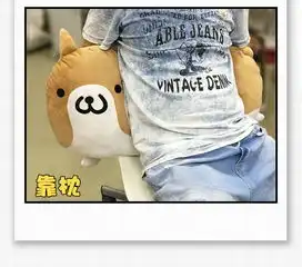 扔狗表情包单身狗创意搞怪柴犬二次元抱枕动漫周边毛绒靠垫
