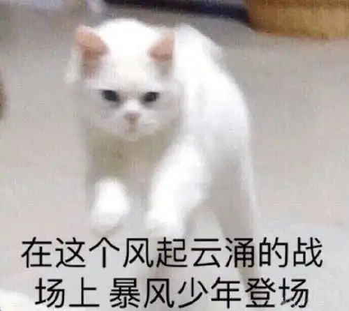 西班牙语专四备考指南老胡带你决胜专四