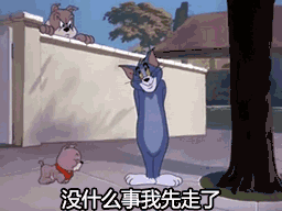 63个猫和老鼠经典系列动图
