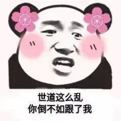 熊猫头表情包i别艾特我了我已经有老婆了
