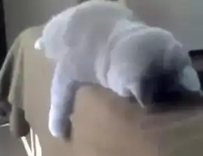 口腔科医生护士表情大全严肃点,不要笑
