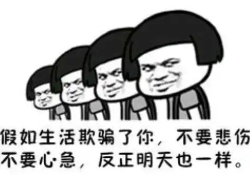 请问大家有没有类似自欺欺人尺这样的表情包
