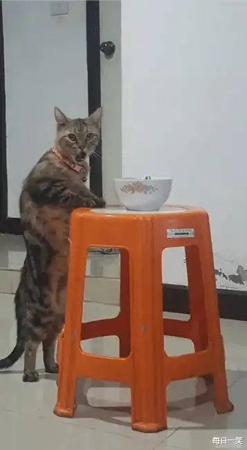 妹子能挡一下你的袋子吗里边的东西让我很难为情,哈哈哈
