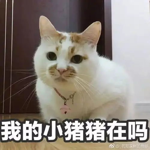你的眼睛会说话,很衬你的笑容
