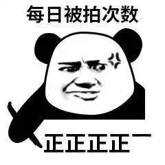 搞笑沙雕熊猫头表情包
