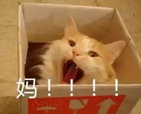 一个妈妈的暑假扎心总结我太太太太太太太太难了