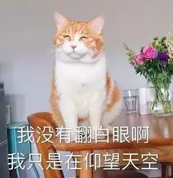 北方没有姑娘,都是女王
