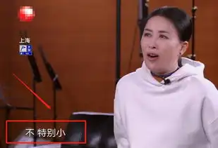 长得显小是啥感觉肖战自报年龄引那英质疑,那表情我可以笑一年

