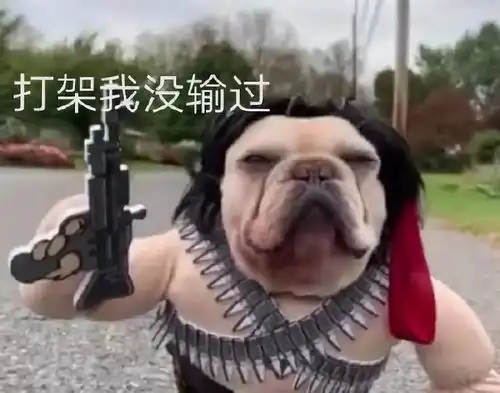 主人把法斗打扮成史泰龙,牛牛成了行走的表情包
