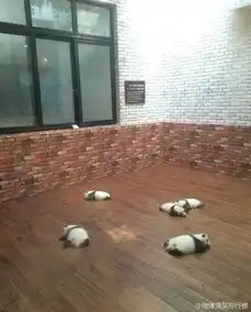 葛优瘫之后又出现了熊猫瘫
