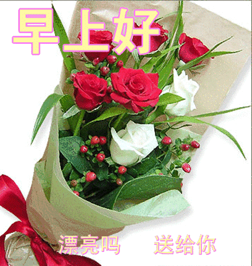 早上好梦里想着你真好听,送给我梦里想着的你
