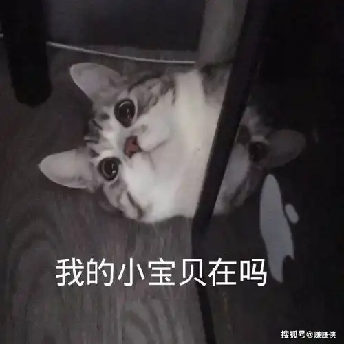 最新表情包图片看到没,这就是惹到我的下场

